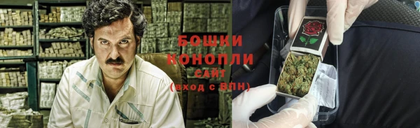 шишки Алексеевка