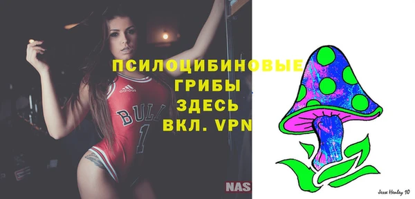 а пвп мука Алзамай