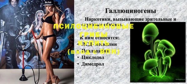 а пвп мука Алзамай