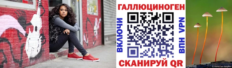 как найти закладки  Могоча  Псилоцибиновые грибы Magic Shrooms 